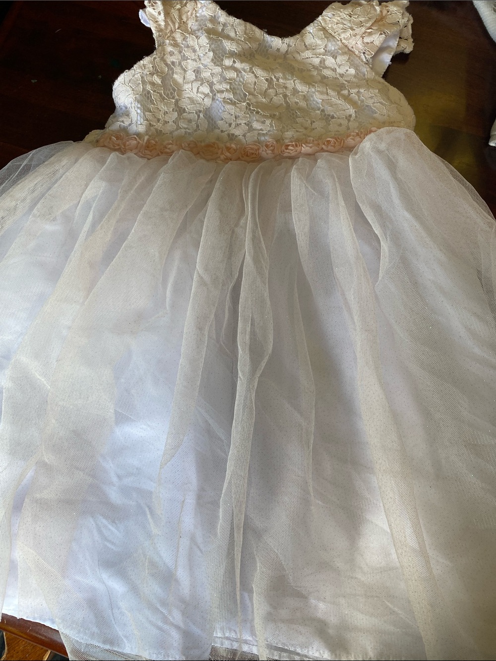 Ivory Lace Tulle Party Dress with Blush Rose Trim